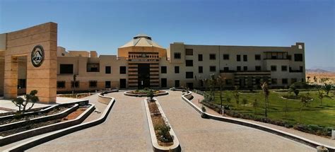 جامعة الملك سلمان الاهلية